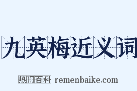 九英梅近义词是什么意思的图片